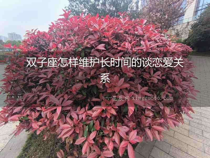 雙子座怎樣維護(hù)長時間的談戀愛關(guān)系