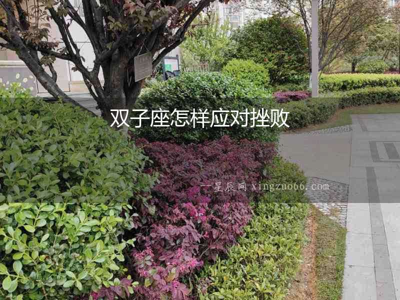 雙子座怎樣應對挫敗