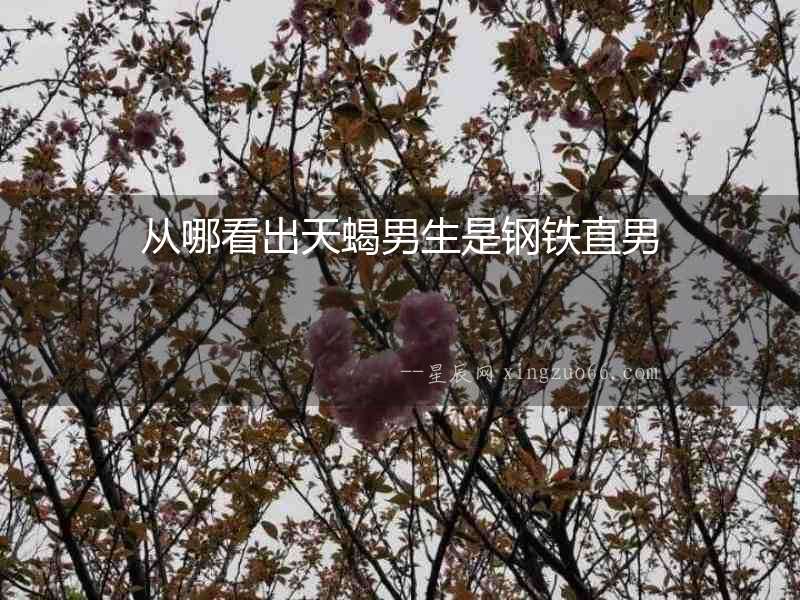 從哪看出天蝎男生是鋼鐵直男