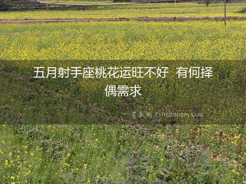 五月射手座桃花運旺不好  有何擇偶需求