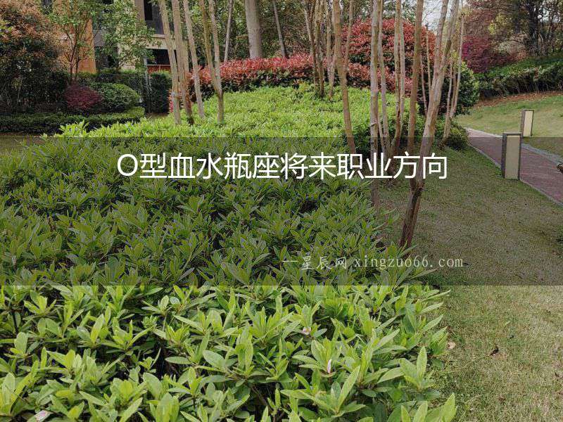 O型血水瓶座將來職業方向