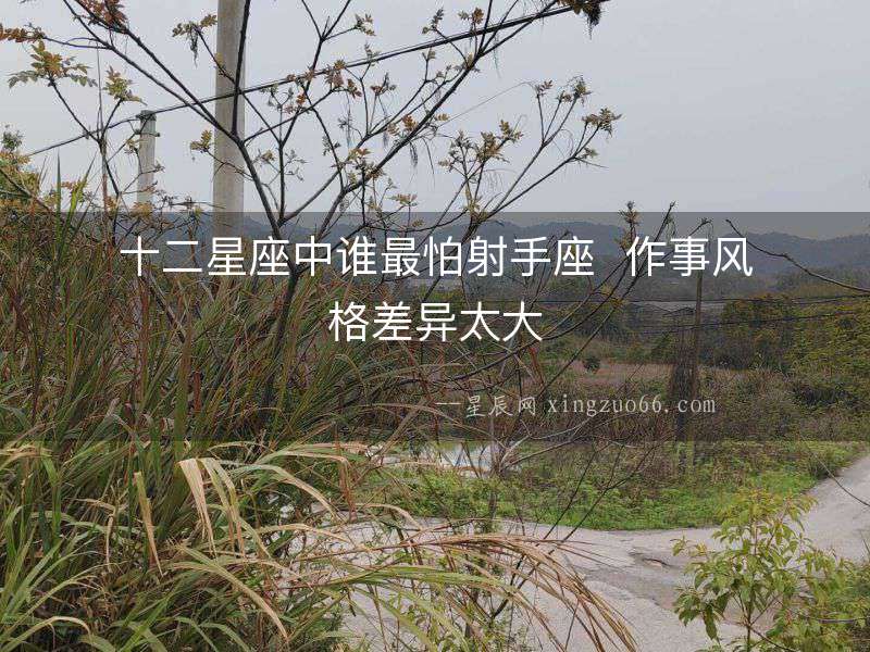十二星座中誰最怕射手座  作事風格差異太大
