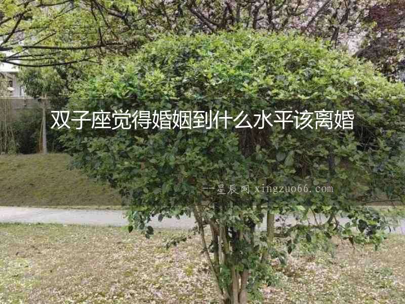 雙子座覺得婚姻到什么水平該離婚