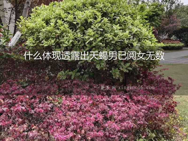 什么體現(xiàn)透露出天蝎男已閱女無數(shù)