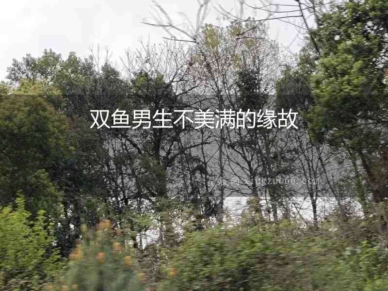 雙魚男生不美滿的緣故
