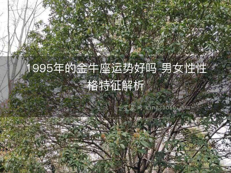 1995年的金牛座運勢好嗎 男女性性格特征解析