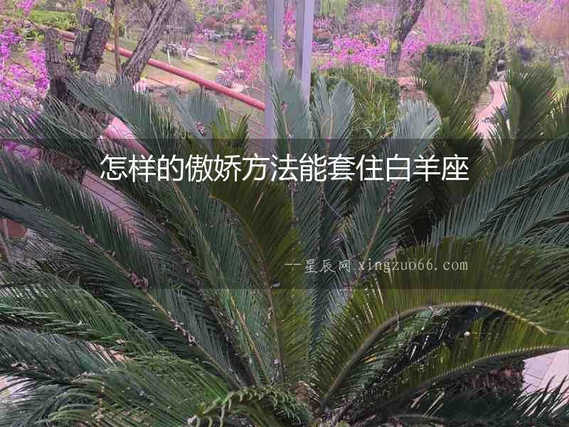 怎樣的傲嬌方法能套住白羊座