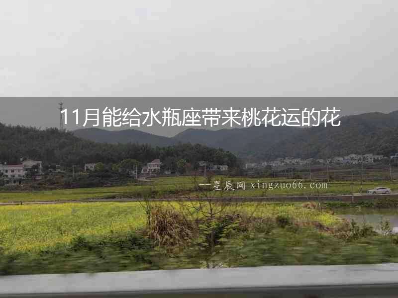 11月能給水瓶座帶來桃花運的花