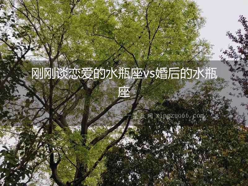 剛剛談戀愛的水瓶座vs婚后的水瓶座