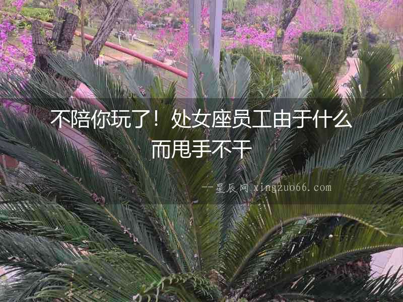 不陪你玩了！處女座員工由于什么而甩手不干