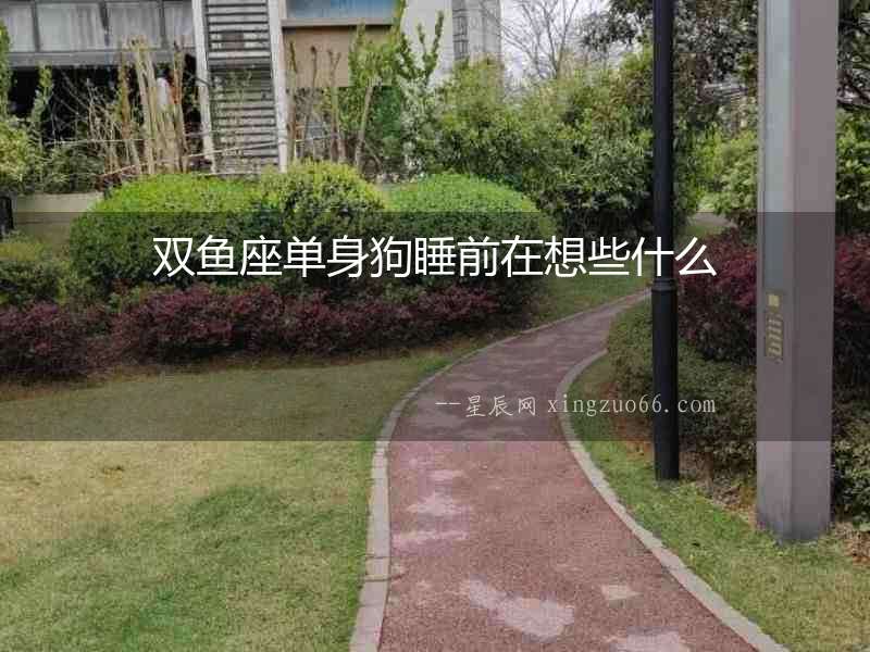 雙魚座單身狗睡前在想些什么