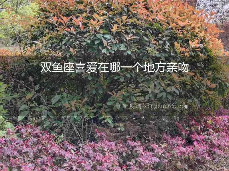 雙魚座喜愛(ài)在哪一個(gè)地方親吻