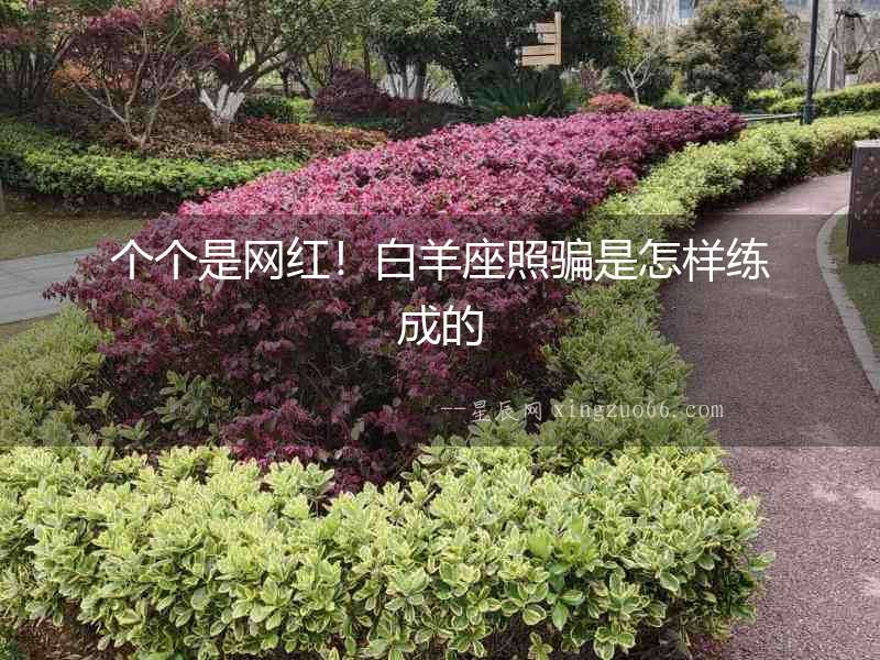 個個是網(wǎng)紅！白羊座照騙是怎樣練成的