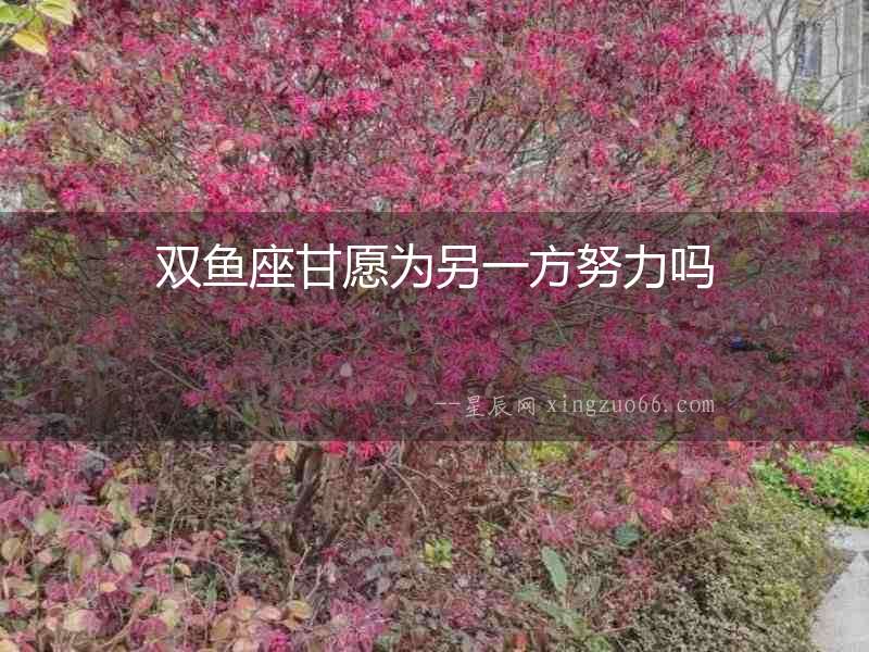雙魚座甘愿為另一方努力嗎