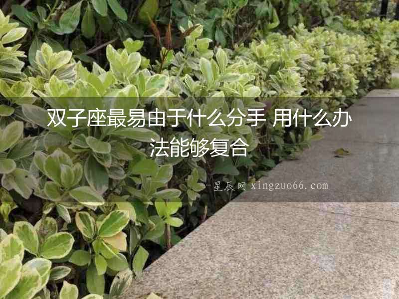雙子座最易由于什么分手 用什么辦法能夠復(fù)合