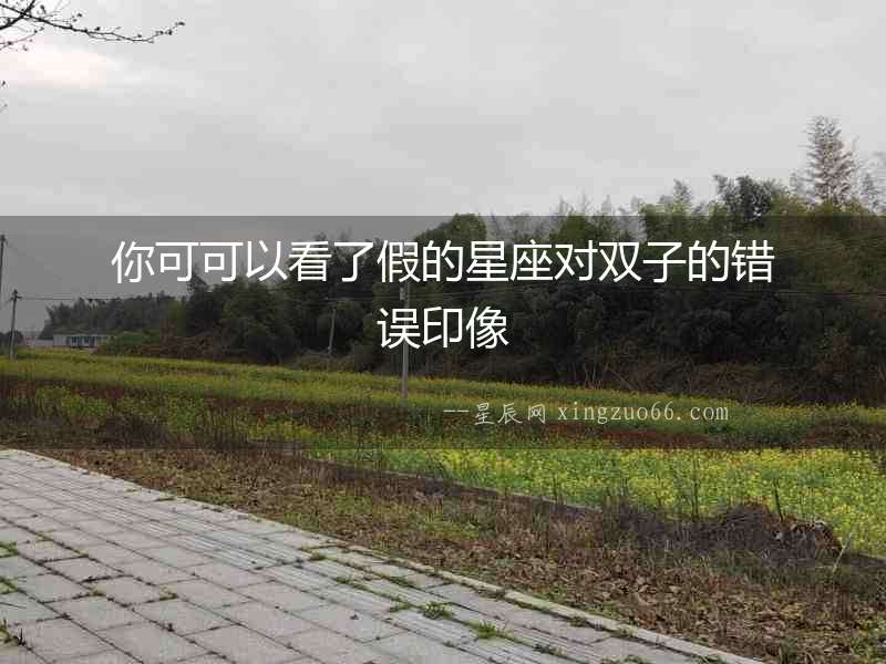 你可可以看了假的星座對雙子的錯誤印像