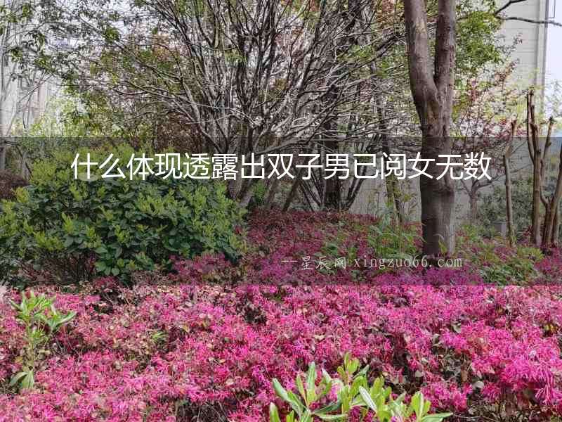 什么體現(xiàn)透露出雙子男已閱女無數(shù)