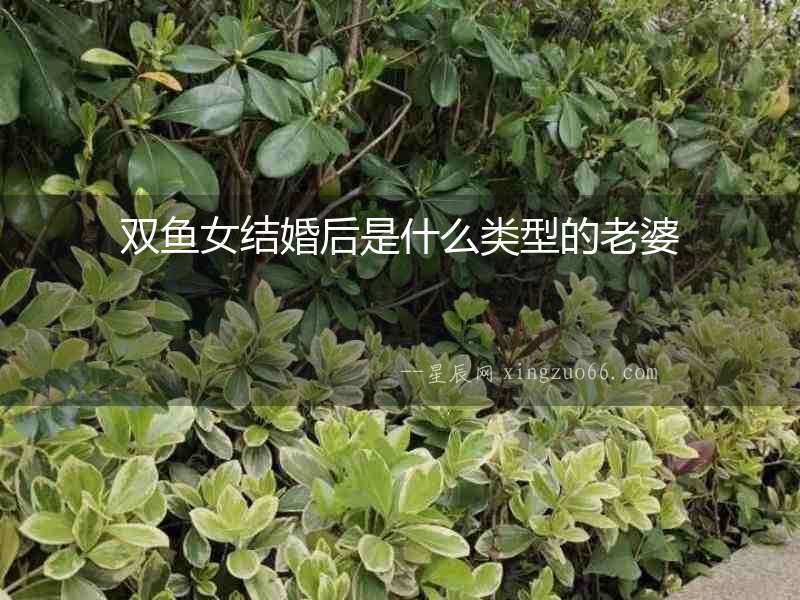 雙魚女結婚后是什么類型的老婆