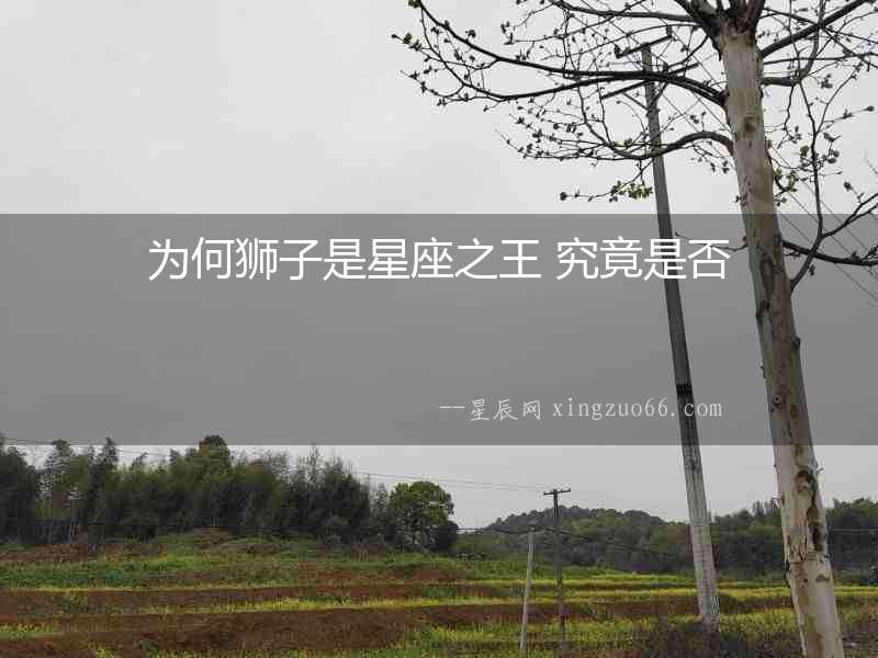 為何獅子是星座之王 究竟是否