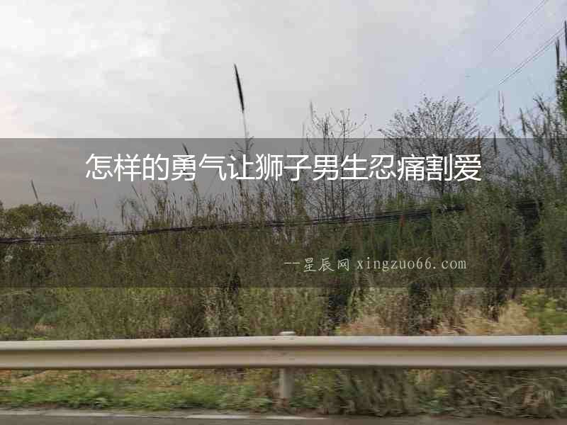 怎樣的勇氣讓獅子男生忍痛割愛