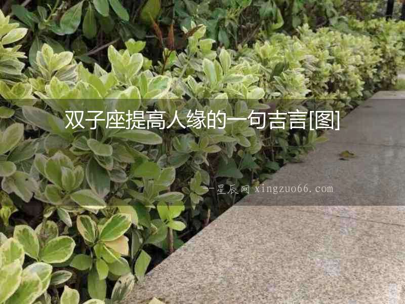 雙子座提高人緣的一句吉言[圖]