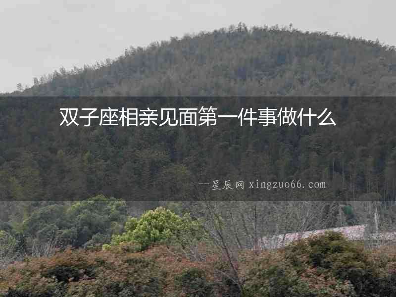 雙子座相親見面第一件事做什么