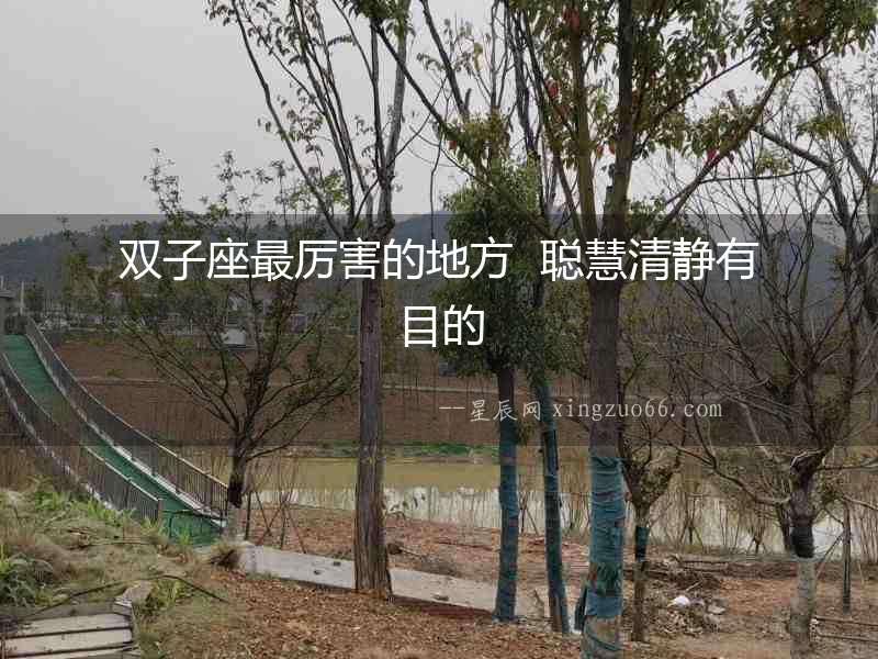 雙子座最厲害的地方  聰慧清靜有目的