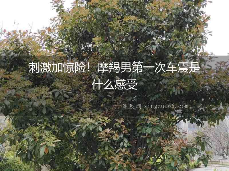 刺激加驚險！摩羯男第一次車震是什么感受
