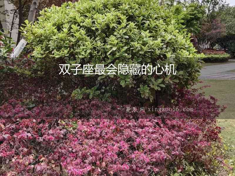 雙子座最會隱藏的心機