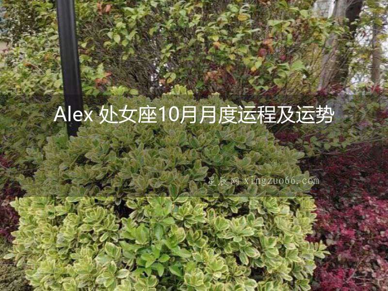 Alex 處女座10月月度運程及運勢