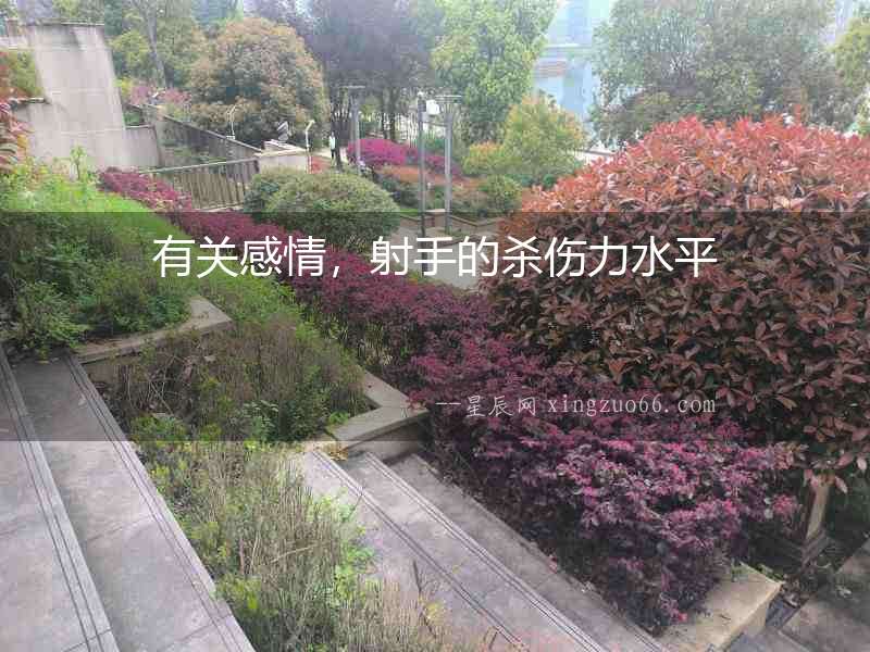 有關感情，射手的殺傷力水平