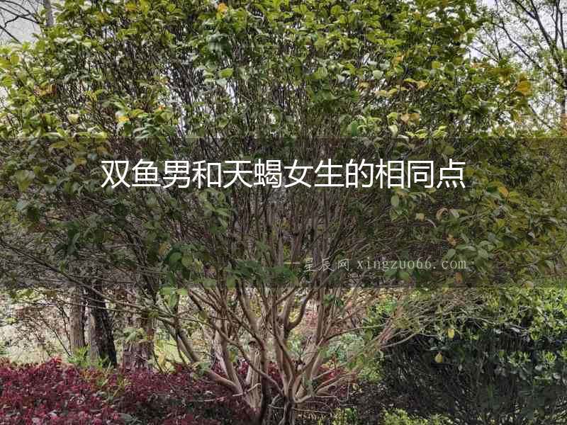 雙魚(yú)男和天蝎女生的相同點(diǎn)