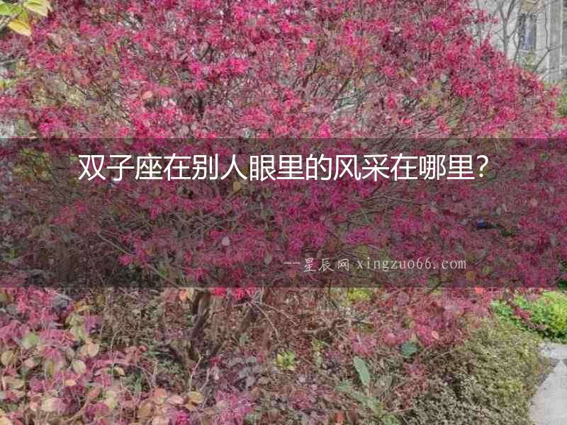 雙子座在別人眼里的風(fēng)采在哪里？