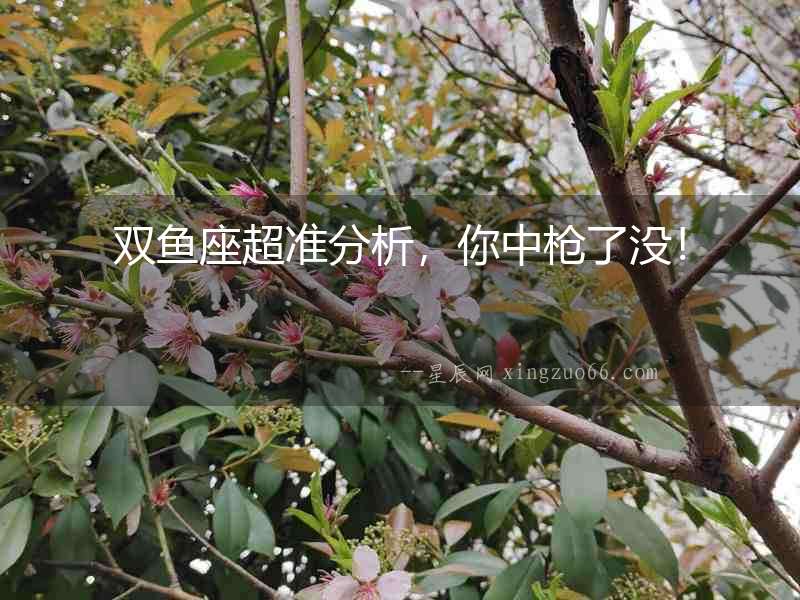 雙魚座超準分析，你中槍了沒！