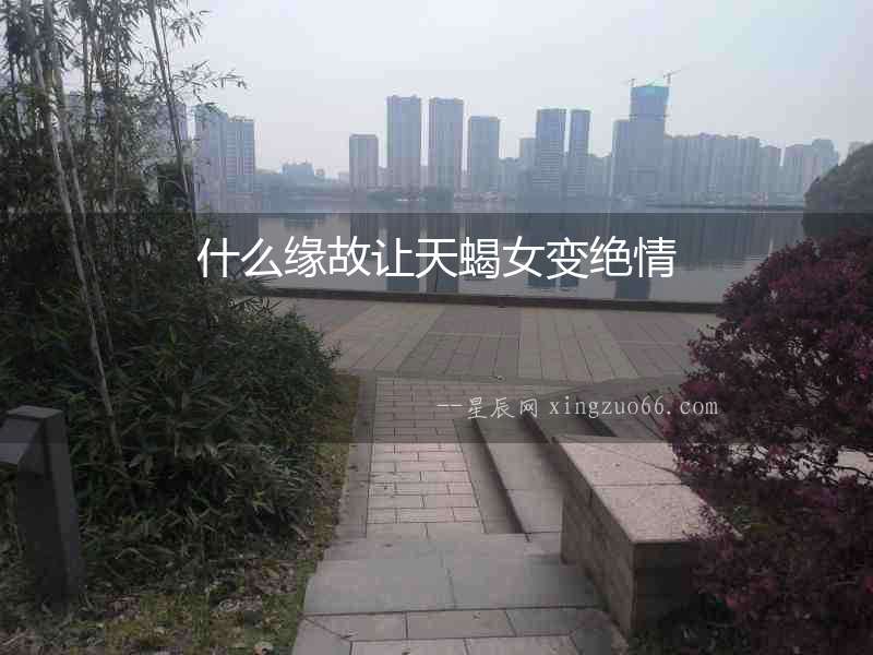 什么緣故讓天蝎女變絕情