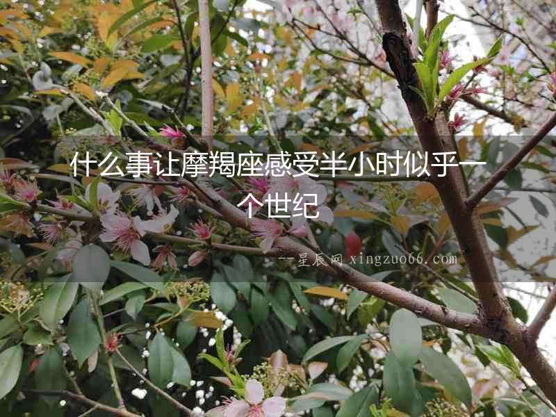 什么事讓摩羯座感受半小時似乎一個世紀