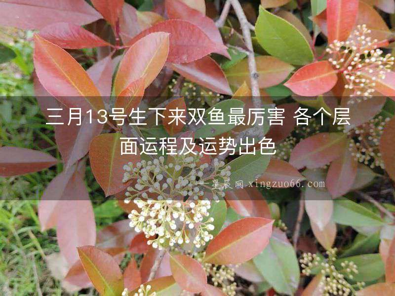 三月13號生下來雙魚最厲害 各個層面運程及運勢出色