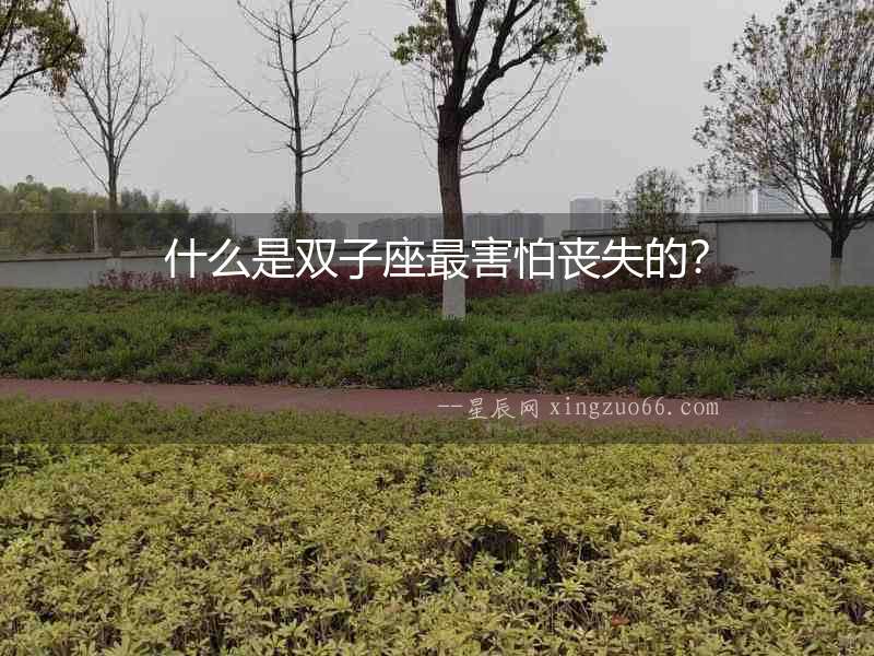 什么是雙子座最害怕喪失的？
