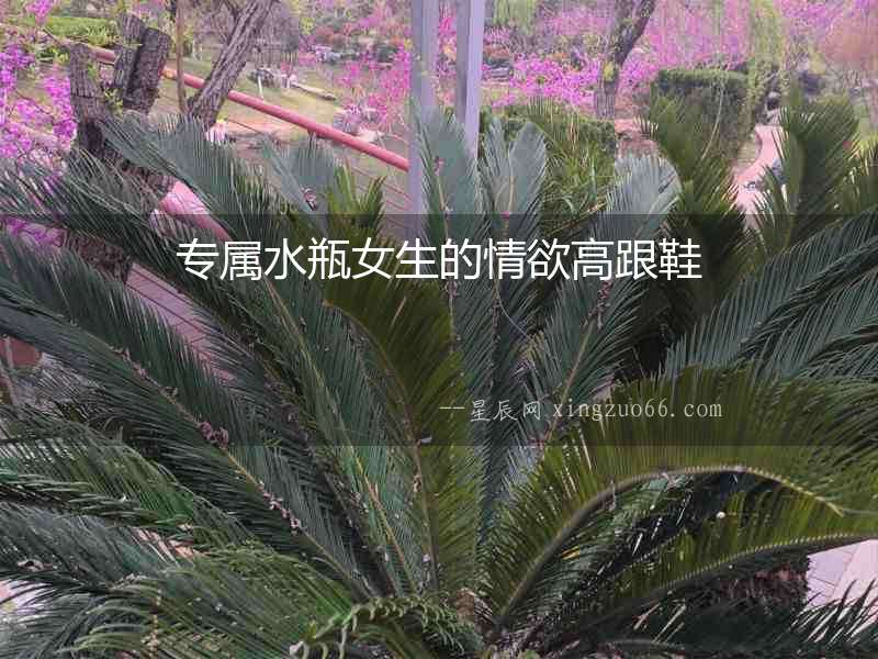 專屬水瓶女生的情欲高跟鞋