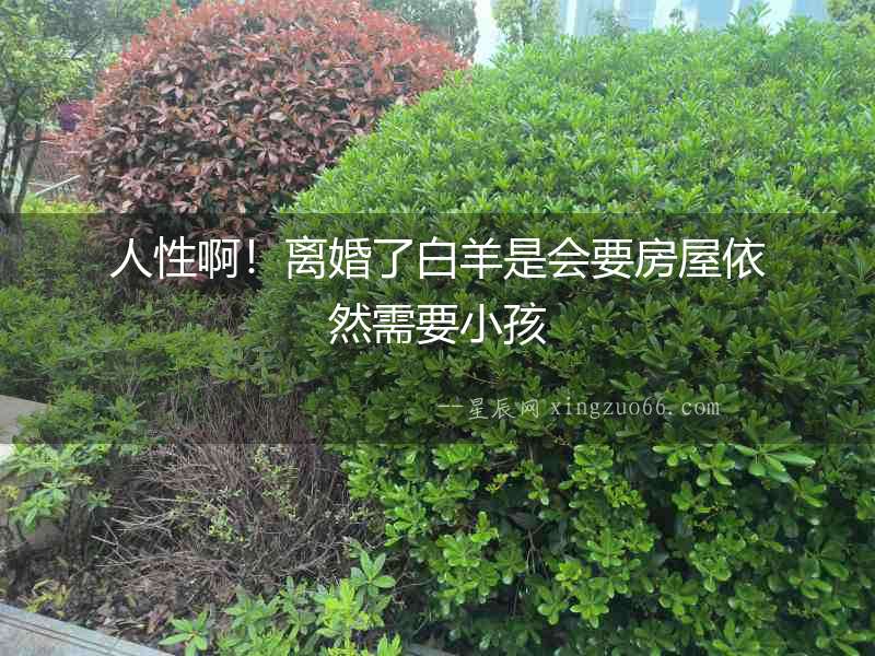 人性啊！離婚了白羊是會(huì)要房屋依然需要小孩