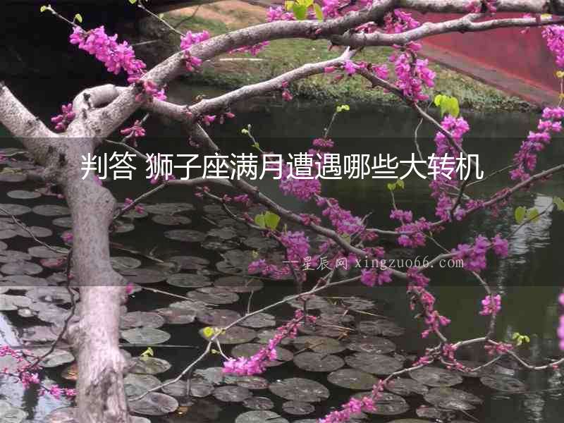 判答 獅子座滿月遭遇哪些大轉(zhuǎn)機(jī)