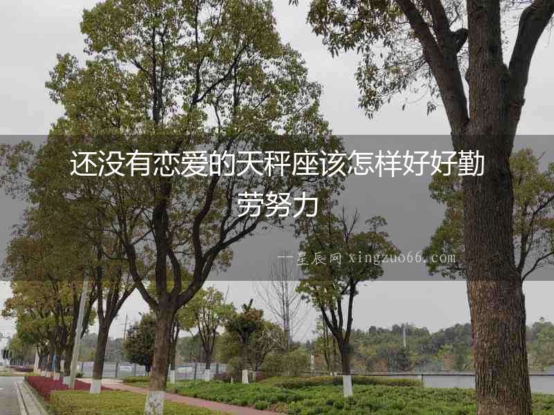 還沒有戀愛的天秤座該怎樣好好勤勞努力