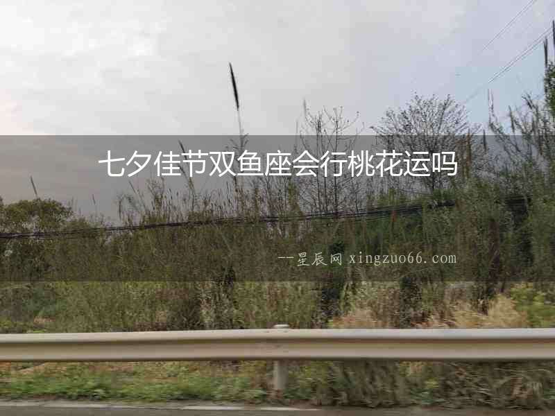 七夕佳節雙魚座會行桃花運嗎