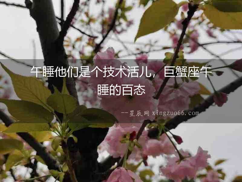 午睡他們是個技術(shù)活兒，巨蟹座午睡的百態(tài)
