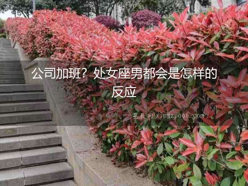 公司加班？處女座男都會是怎樣的反應