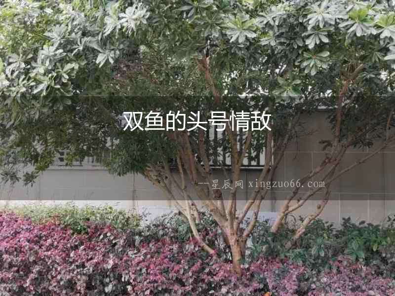 雙魚的頭號情敵