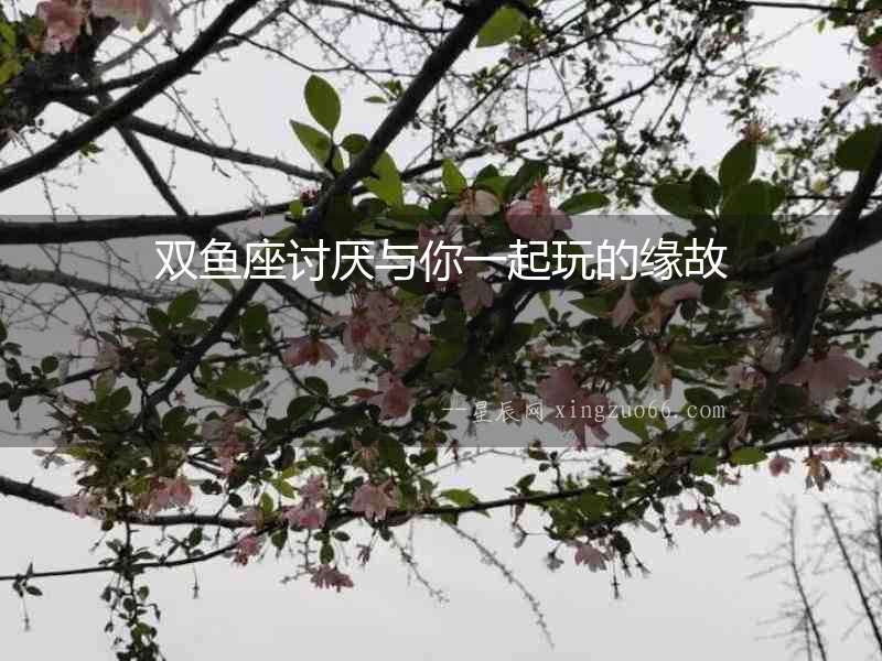 雙魚座討厭與你一起玩的緣故