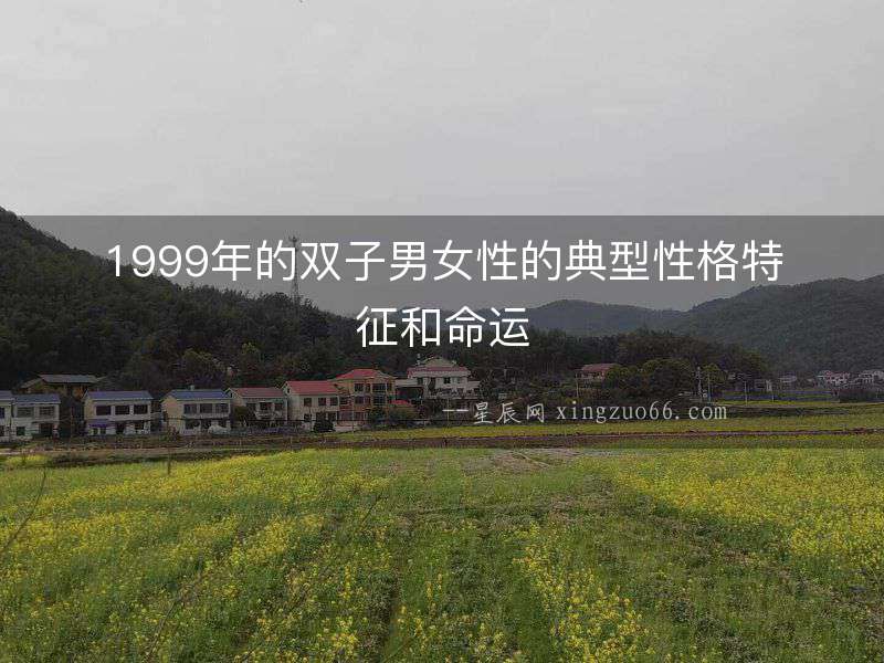 1999年的雙子男女性的典型性格特征和命運(yùn)