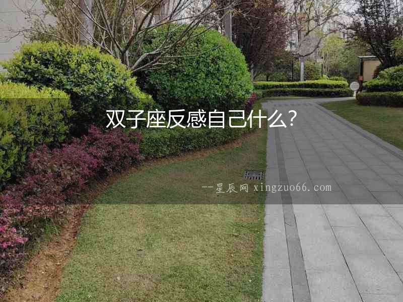 雙子座反感自己什么？