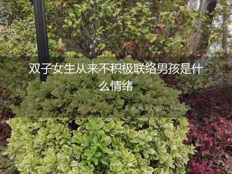 雙子女生從來不積極聯絡男孩是什么情緒